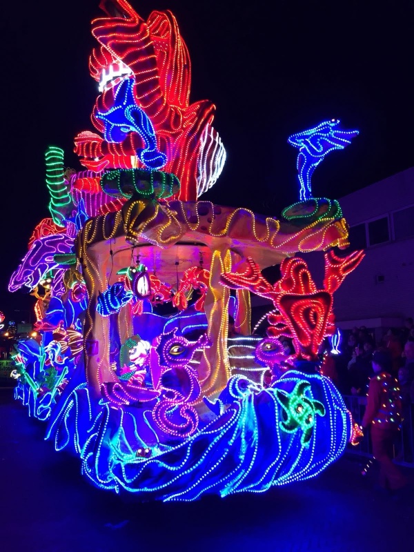 https://www.verlichtecarnavalsoptocht.nl/fileupload/IMG-20180210-WA0006.jpg
